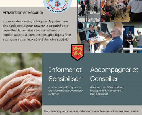 Brigade de protection des aînés